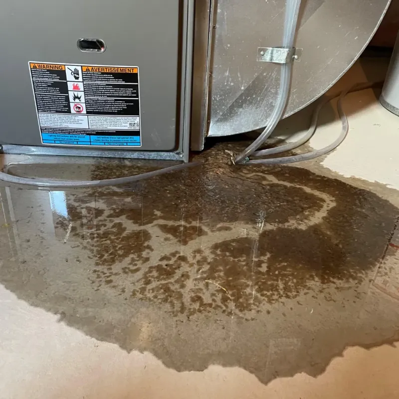 Appliance Leak Cleanup in Bladen County, NC